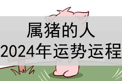 2024年属猪运势|属猪2024年运势及运程详解 2024年属猪人的全年每月运势